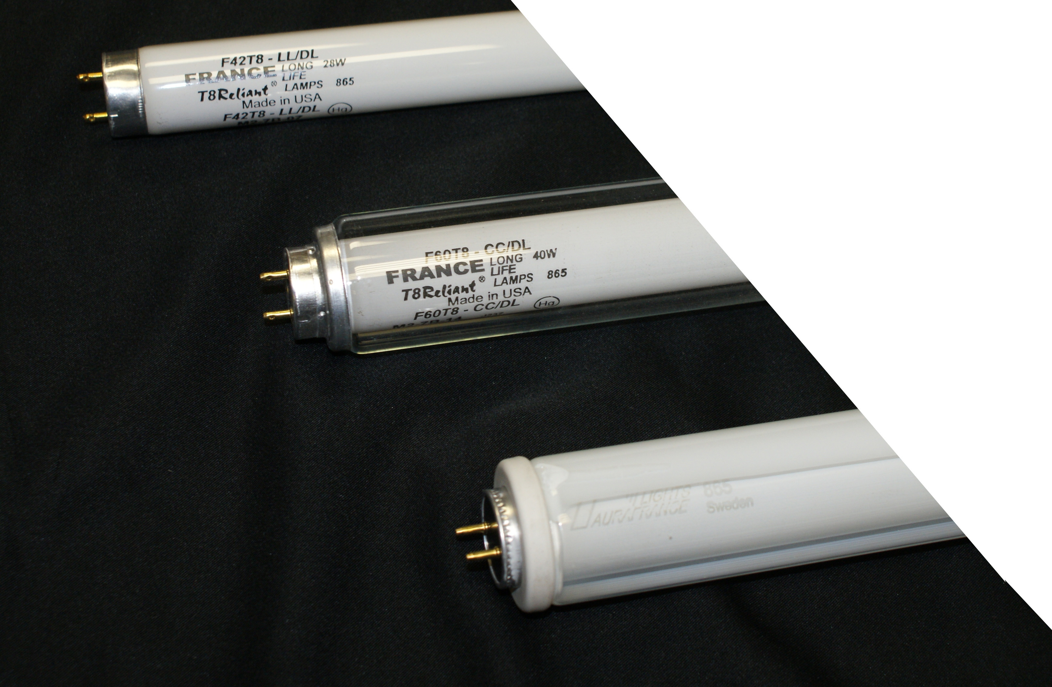 F36 t8 on sale